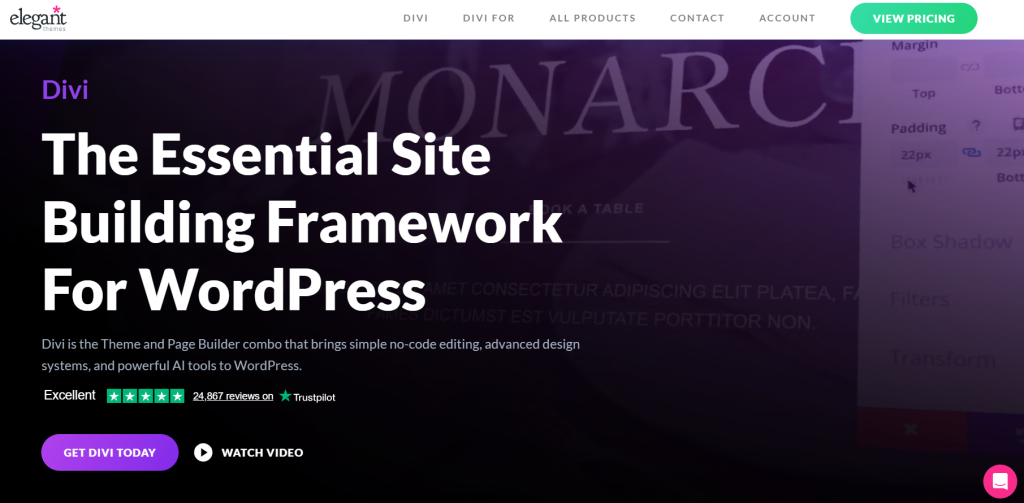 Divi Builder - design for heavy sites